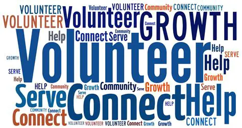 Volunteer at a film organization